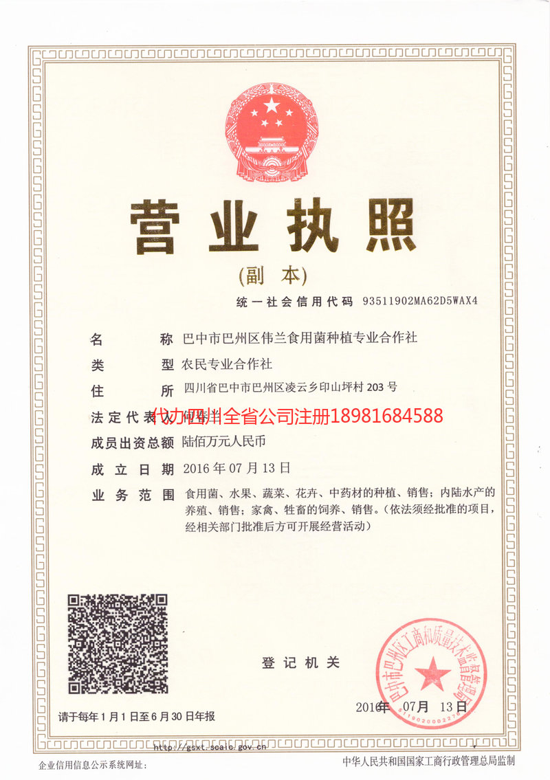 枣庄枣庄伟兰食用菌种植专业合作社